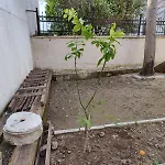 Отель Sefin Villasi *