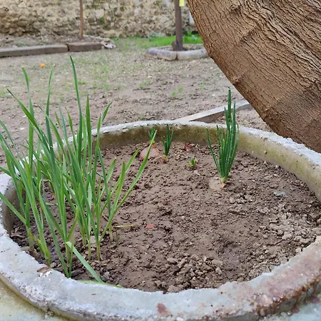 Privatunterkunft Sefin Villasi *