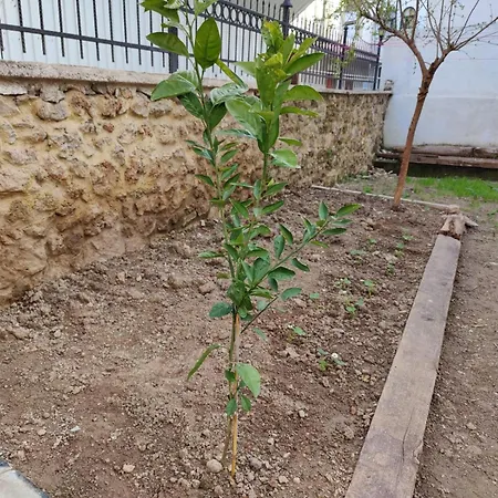 Privatunterkunft Sefin Villasi