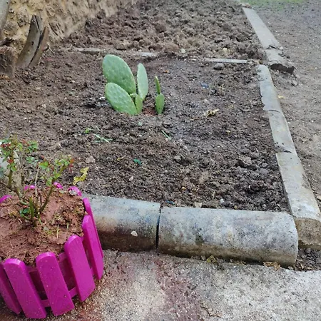 Sefin Villasi מלון אנטליה