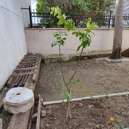 Privatunterkunft Sefin Villasi *