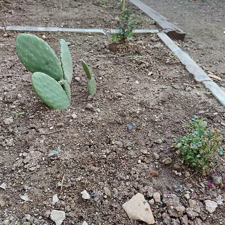 Sefin Villasi Privatunterkunft *